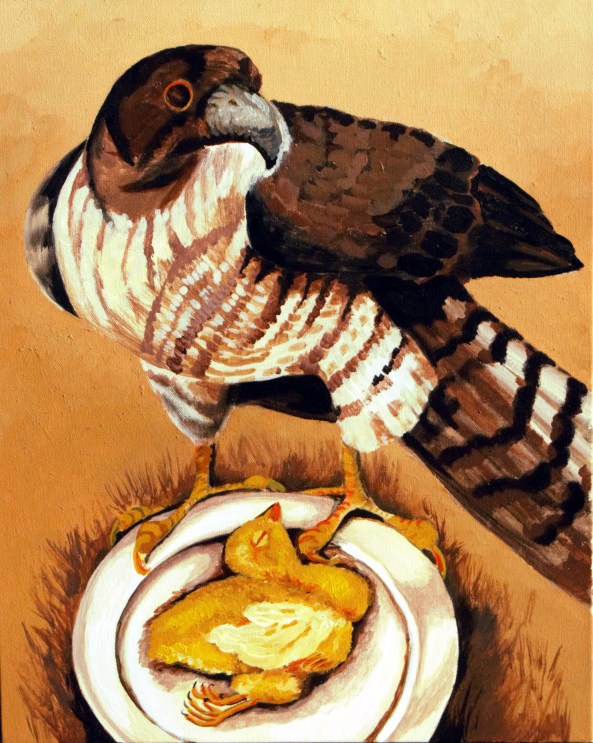 chicken-hawk-plate-1-72-c